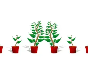 ESG